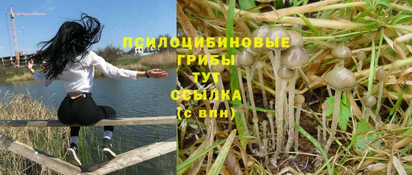 гидропоника Алексин