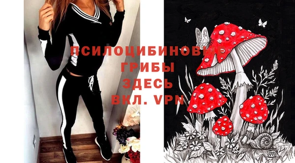 дмт Алексеевка