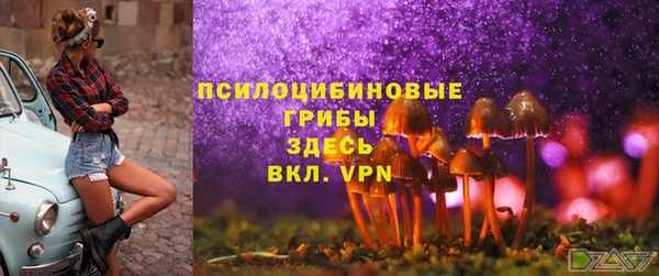 гидропоника Алексин