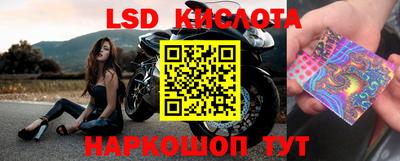 дмт Кандалакша