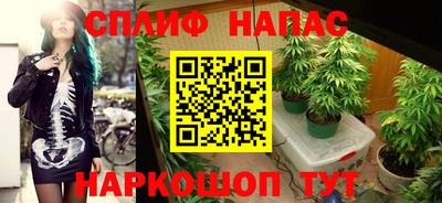 дмт Кандалакша