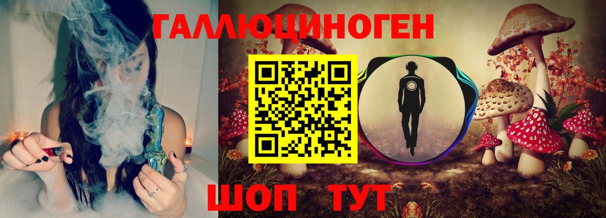 Галлюциногенные грибы Psilocybine cubensis Лесной