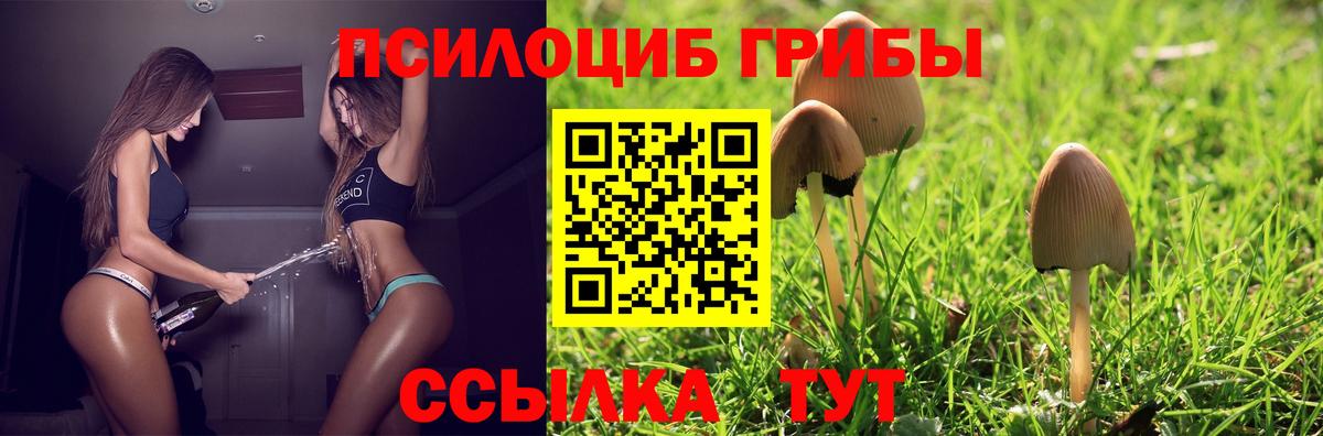 Галлюциногенные грибы ЛСД  Галлюциногенные грибы Magic Shrooms  Вход с VPN  где продают   Лесной 
