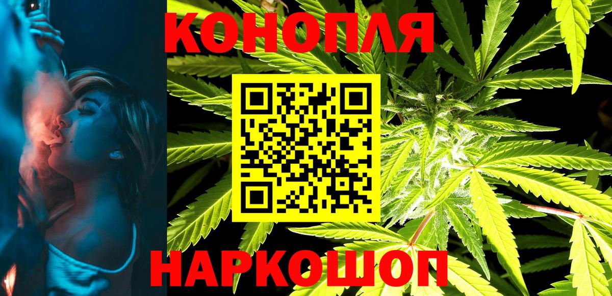 Марихуана гибрид Лесной